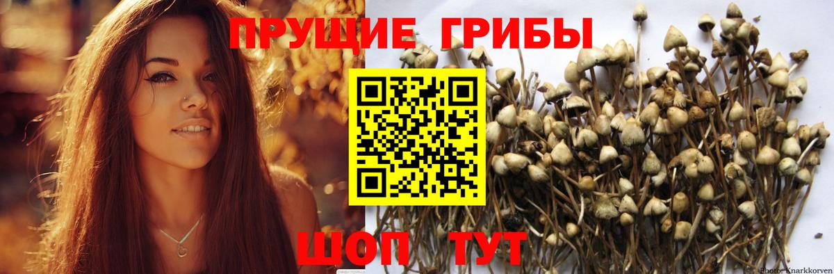 Галлюциногенные грибы ЛСД  Вход с VPN  Псилоцибиновые грибы мухоморы  Павловский Посад 