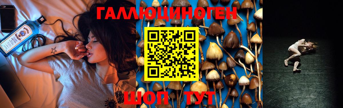 Псилоцибиновые грибы ЛСД Павловский Посад